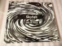 【Ambitions JAPAN Tour会場限定CD】ONE OK ROCK「Skyfall」。_画像1