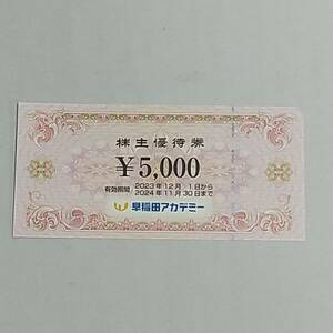 早稲田アカデミー 株主優待券 5000円分 2024/11/30迄 送料無料