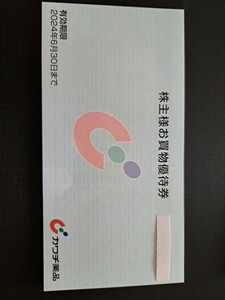 カワチ薬品　株主優待買い物券5000円分　有効期限2024年6月30日