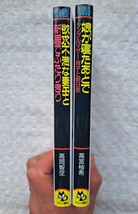 官能小説　高宮柚希　高岡智空　娘が寝たあとで　欲求不満な妻母と新居で二人きり　フランス書院文庫_画像3