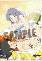 PS Vita版 閃乱カグラ ESTIVAL VERSUS-少女達の選択/エビテン特典 B2サイズ タペストリー_画像1