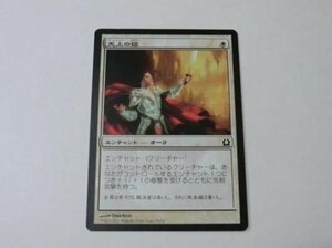 MTG 美品 【天上の鎧】 （コモン） RTR 日 9枚迄