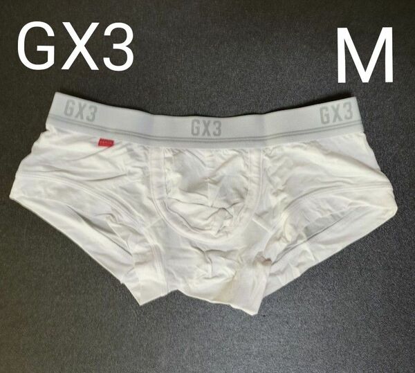 【GX3】SHEER ボクサーパンツ ホワイト M