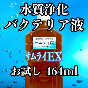 高品質水質浄化バクテリア　お試し１種　サムライEX　164ml（82ml×2）