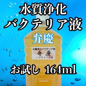 高品質水質浄化バクテリア　お試し1種 弁慶 164ml