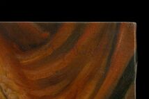 ●ウジェーヌ・ドラクロワ●油絵　手描き《窓辺の果実》表サイン　鑑定書　P15号　額無　模写/検索ワード(ジャン・グロ/アングル)f875_画像4