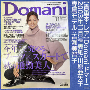 【貴重本・レア】Domani ドマーニ 2003年11月号 表紙：川原亜矢子 モデル：吉瀬美智子・倉本康子