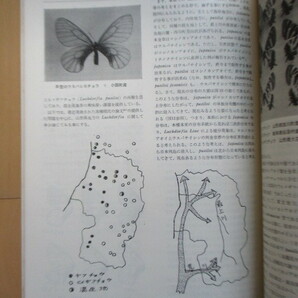 月刊むし 32号 1973年11月号 /スマトラ・ボルネオの蝶/山形県の蝶類分類/伊豆・式根島のコガネムシ/昆虫の画像6