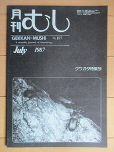 月刊むし　クワガタ特集号　197号　1987年7月号　/コルリクワガタ/ツヤハグクワガタ/ツヤクワガタ/アカマルバネクワガタ/オオクワガタ