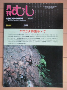 月刊むし　クワガタ特集号 7　292号　1995年6月号　/台湾産ミヤマクワガタ/ミャンマー産マルバネクワガタ/ヒラタクワガタ