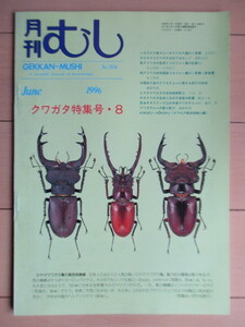 月刊むし　クワガタ特集号 8　304号　1996年6月号　/ベネゼエラ産スジバネクワガタ/ヤエヤマコクワガタ/南アのコロフォン属/ヒラタクワガタ