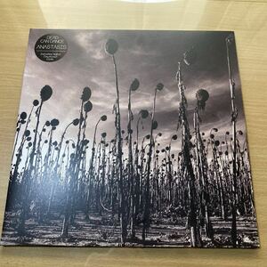 〈海外美盤2LP〉DEAD CAN DANCE /ANASTASIS /180G clear 2LP/PIAS AMERICA