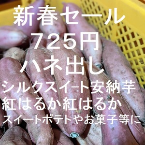 ７２５円・新春セール・ハネ出し・シルクスイート・安納芋・紅はるか・紅あずま　　28