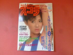 C3-240130☆スコラ 1983年 2月24日 21号 斉藤慶子(ピンナップ) 大場久美子 鰐渕晴子 佐藤あさみ