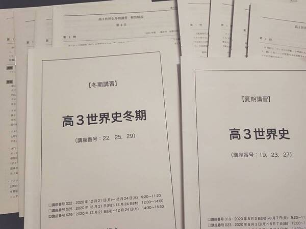 鉄緑会　20年夏期・冬期　高3世界史　テキスト・解説冊子　フルセット　社会　河合塾　駿台　鉄緑会　Z会　東進　SEG