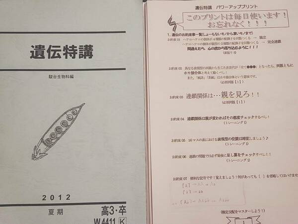 駿台　夏期　遺伝特講　テキスト・プリント　フルセット　河合塾　駿台　鉄緑会　東進　SEG 