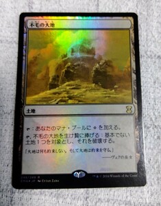 MTG　マジック・ザ・ギャザリング　不毛の大地　日本語　フォイルfoil　エターナルマスターズ