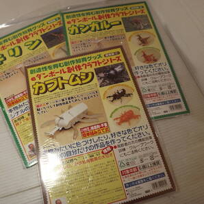 eダンボール創作クラフト 創作知育グッズ 工作 高齢者の機能回復訓練にも カブトムシ キリン カンガルー 送料無料