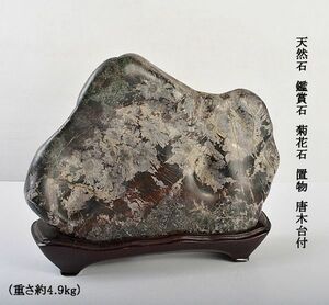 天然石　鑑賞石　菊花石　置物　重さ約4.9kg　唐木台付　古玩　CKHS