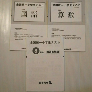 【即決】全国統一小学生テスト★2018年11月★小学3年★3年生★3年★四谷大塚★算数&国語&解答と解説★3点セット★過去問★全国学力テスト