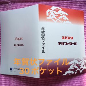 年賀状ファイル 30ポケット☆絵ハガキ収納にも◎