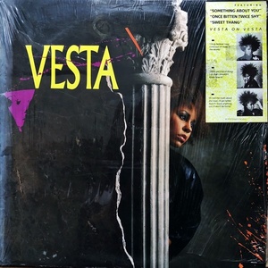 【Disco & Funk LP】Vesta Williams / Vesta 