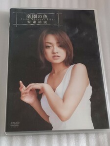 安達祐実　DVD　楽園の魚