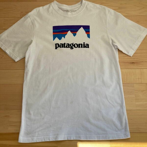 patagonia 半袖Tシャツ パタゴニア