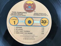 LP / TODD RUNDGREN / THE EVER POPULAR TORTURED ARTIST EFFECT / US盤 [1968RR]_画像3