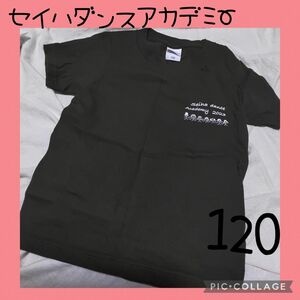 【セイハダンスアカデミー】Tシャツ　カーキ　120　ヒップホップ　ダンスクラブ