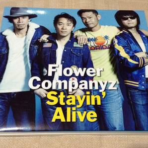 フラワーカンパニーズ/Flower Companyz「Stayin' Alive」初回盤/CD+DVD