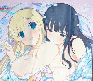 斑鳩　詠 　B2タペストリー 「PS4ソフト 閃乱カグラ PEACH BEACH SPLASH にゅうにゅうDXパック」 同梱特典