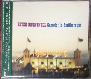 Peter Bruntnell/97年大名盤/ブリティッシュ/フォークロック/ギターポップ/シンガーソングライター/日本盤のみNick Drakeの傑作カバー収録