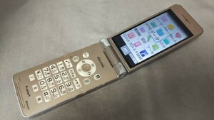 DG4930 docomo SIMフリー P-smart P-01J Panasonic 4Gガラホ 簡易確認＆簡易清掃＆初期化OK 判定○ WebにてSIMロック解除手続受付済み