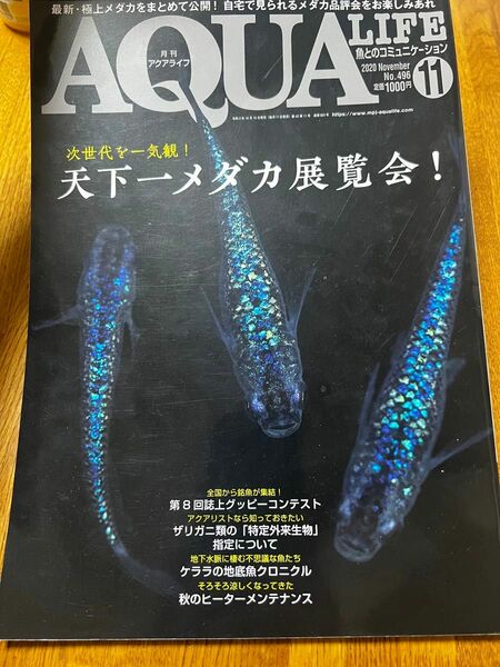 月刊アクアライフ　2020/11月号　天下一メダカ展覧会