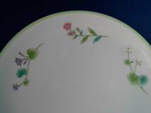 第一陶器(株)　　パーティーセット　　盛り皿　　取り皿　　大皿1枚・小皿１０枚セット　　未使用_画像5