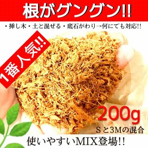 ヤシチップMIX【ポトス 斑入り モンステラ マドカズラ アイビー 柚子 桃 苺 多肉植物 韓国苗 薔薇 紫陽花 水苔等に】〇