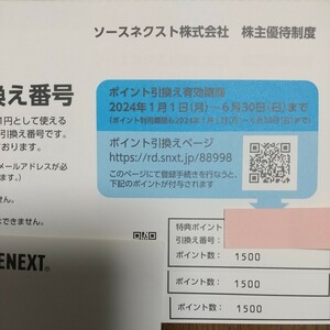 ソースネクスト株主優待 特典ポイント4500円分　2024年6月30日期限