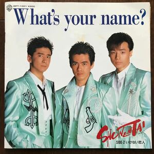 EP 少年隊/WHAT'S YOUR NAME?/いけない恋人 16ページ写真集