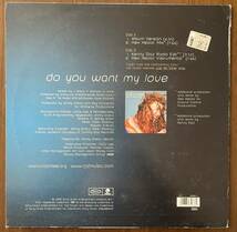 Coco Lee ココ リー 李王文 DO YOU WANT MY LOVE レコード LP 12インチ R&B オランダ盤 holand press house remix hex hector_画像2