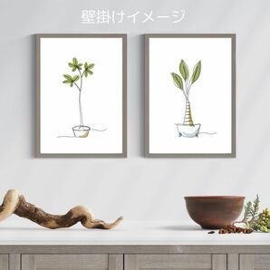 観葉植物　A&B 一筆書きアートポスター　プリントポスター