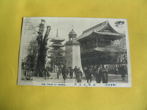 大正絵葉書. 東京 .浅草仁王門. (震災前)