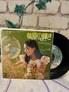 草原の輝き　アグネス・チャン　山鳩　レコード　音楽　ミュージック　昭和レトロ　懐かしの楽曲