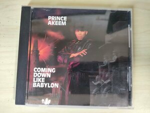 CD プリンセス・アキーム カミング・ダウン・ライク・バビロン/PRINCE AKEEM Coming Down Like Babylon/swingin/ヒップホップ/D325931