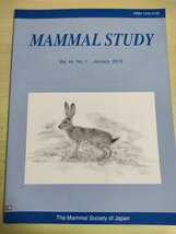 哺乳類の研究/MAMMAL STUDY 2019 Vol.44 No.1 日本哺乳類学会/農業地域におけるアカギツネ食生活/野ネズミ頭蓋骨変異/生物学/洋書/B3227118_画像1
