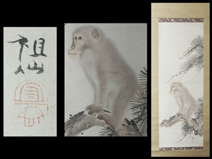 【真筆】SQ76_江戸後期 森祖仙 「猿之図」 肉筆紙本 掛軸 