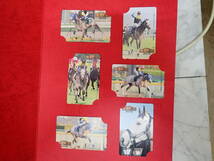週間　ギャロップ　記念テレカなど　競走馬テレカ　額面　１１０００円分　２２枚_画像2