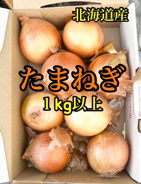 玉ねぎ　北海道産 Ｍサイズ　約1キロ 正規品