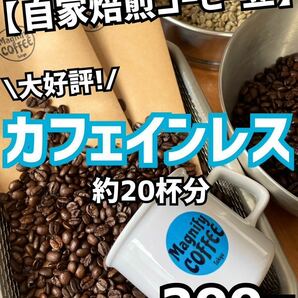 【匿名配送】★スタバ/タリーズ/カルディ好きに★自家焙煎コーヒー豆　デカフェ/カフェインレス　約20杯分/200g(珈琲豆or粉)