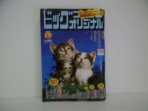 [GY1165] ビッグコミックオリジナル 2022年8月20日号 小学館 中原裕 半藤一利 はしもとみつお こざき亜衣 やまさき十三 吉田戦車 青木U平